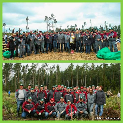 Urban Group на страже экологии: строители высадили более 3000 деревьев в Подмосковье! 