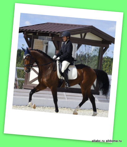 Материалы ROCKWOOL обеспечивают безопасность и комфорт в конно-спортивном клубе «Maxima Park»!