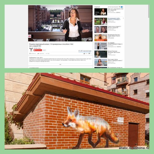 Свить свой лофт или заехать в гнездо-дуплекс: Urban Group и «Всё как у зверей» выпустили ролик о квартирных амбициях животных...