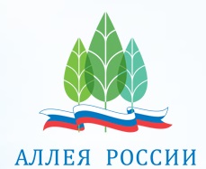 Жители Красноярского края выбрали семь растений-кандидатов, достойных стать символом региона!