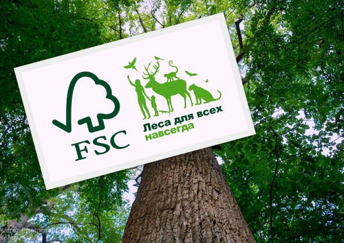 Лесной попечительский совет стал партнером Национальной премии в области зеленой архитектуры и строительства «ЭКО_ТЕКТОНИКА».