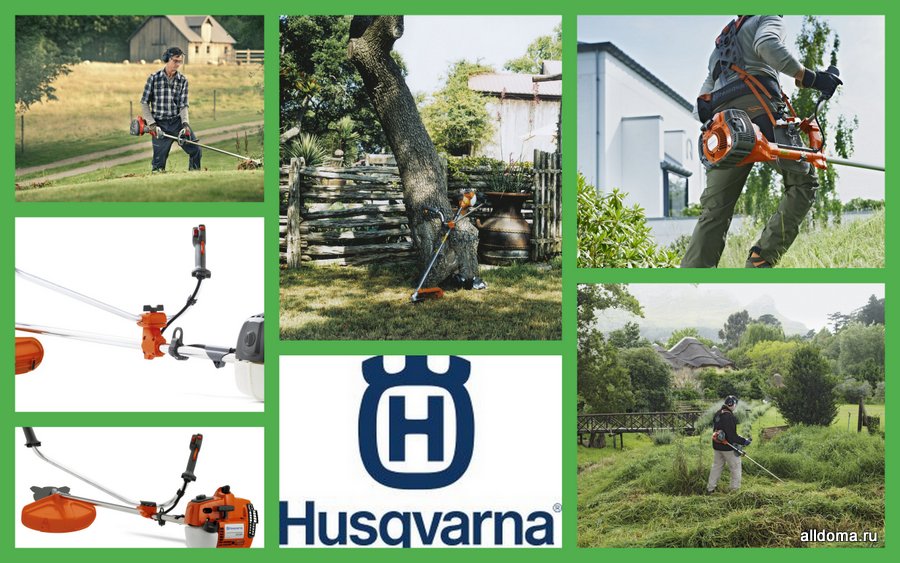 Компания Husqvarna в 2017 году сделала вывод о том, что россияне все больше становятся заинтересованы в красивых и ровных лужайках на своих дачных и придомовых участках.