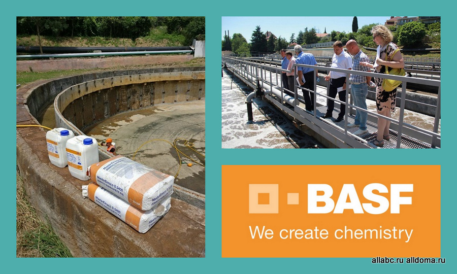 BASF сделал вклад в экологию Большого Сочи!