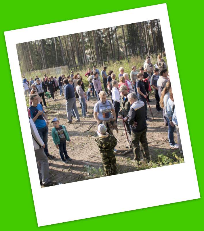 Порядка 300 тысяч жителей Московской области высадили деревья в рамках экологической акции «Наш лес. Посади свое дерево», всего в ходе акции, по предварительным данным, в регионе высадили более 1,6 миллиона деревьев, передает РИАМО.