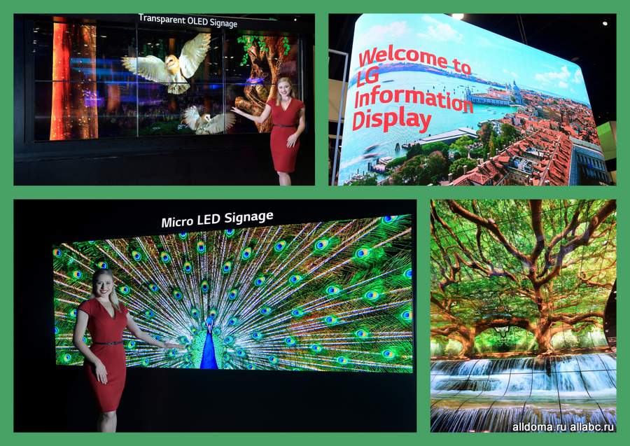 Новинки на выставке InfoComm: лидеры среди решений для бизнеса — дисплеи LG с технологией Micro LED! 