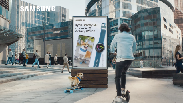 Приходи с другом: Samsung открывает двери магазинов для четвероногих питомцев!