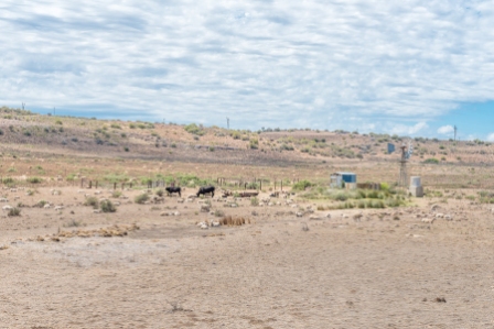 Grundfos участвует в кампании по борьбе с засухой в ЮАР!