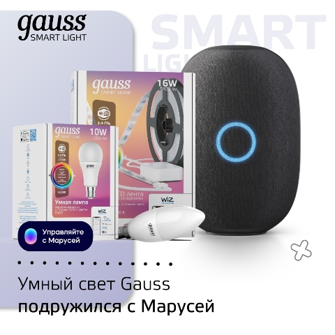 Управлять устройствами умного дома Gauss Smart Light теперь можно через Марусю, дружелюбного голосового помощника от Mail.ru Group. 