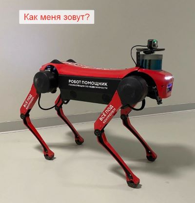 «Активные граждане» выберут имя для робота-собаки столичной Госинспекции по недвижимости!